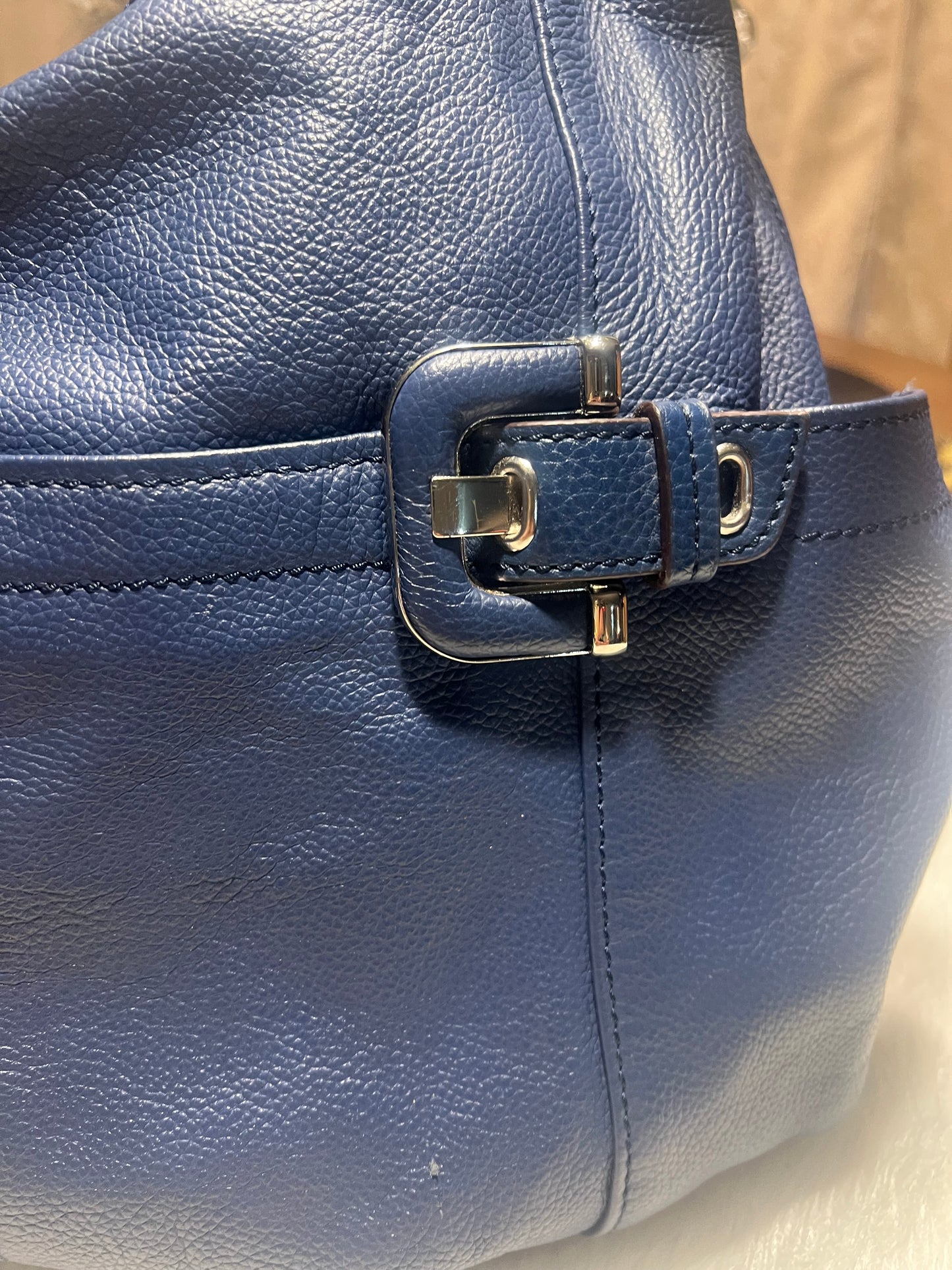 Tagnello Blue Leather Bag
